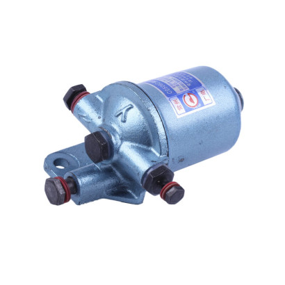 Фільтр паливний у зборі DL190-12