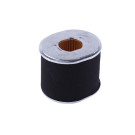 Фільтруючий елемент повітряного фільтра паперовий TT AGRO MOTO на бензиновий двигун 188F